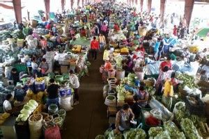 Veggie traders appeal for Baguio to lift truck ban.